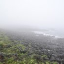 송악리조트 이미지