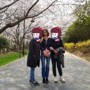 등대공인중개사사무소 이미지