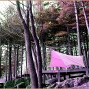 수요캠핑-축령산 자연휴양림 이미지
