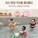 풀리풀리 이미지