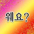 산오징어나라 이미지