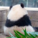 (주)판다 이미지