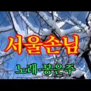 서울손님-노래 봉은주 이미지
