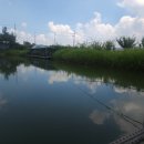 옥산낚시터 이미지