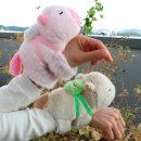 조이아트 이미지