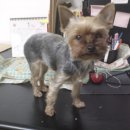 방배1동010 이미지