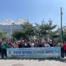 작전서운동 이미지