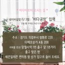 엄마와 제주성산포 겨울여행 추억~ /비다아로마 기업출강, 교원연수, 친목도모, 소진예방, 위클래스...