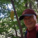 깃대봉 쉼터 이미지