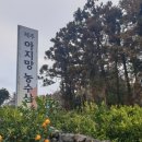 제주아지망농수산 이미지