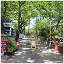 140-2-000027 | 양산 여행 힐링 산책 코스 추천 법기수원지 편백숲길둘레길