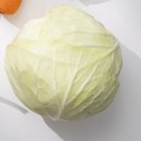 서울내과의원 이미지