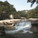 559. 토요일, 문경 봉암사로 ＜선원승보공양＞을 떠납니다. 이미지