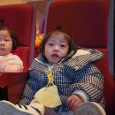 광양어린이집 발표회 이미지