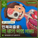 퍼즐로 | 엄마표영어 교구 인체퍼즐로 뼈 장기 익힌 실제 후기