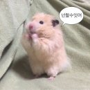 프롬하츠커피 대학로점 이미지