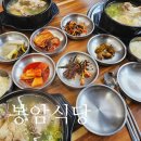 봉암식당 | 도심 속 자연에서 몸보신 제대로! 수성구 욱수골맛집 토종닭 전문 봉암식당