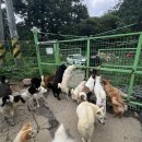 몽블리스 이미지