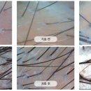 강남뷰티의원 이미지