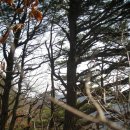 외방1리 이미지