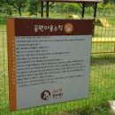 목감동물병원 이미지