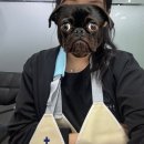 캠프통포레스트 | 가평 빠지 ‘캠프통포레스트’ 평일 방문후기/준비물,꿀팁