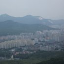 대석로 Daum카페