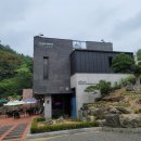 [용인 카페] 산솎에서 힐링하기 좋은 코나 헤이븐
