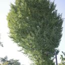 호현당화장실 이미지