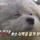 서명농장 이미지