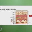 유은미헤어