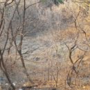 영덕야성초등학교 매정분교장 이미지