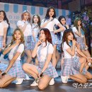 픽미픽미 이미지