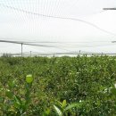 인건농장 이미지