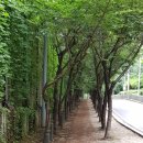 KCC 사옥 앞 횡단보도 이미지