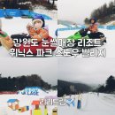 휘닉스중앙평창 유스호스텔 | 강원도 눈썰매장 리조트 평창 휘닉스 파크 스노우 빌리지 예매 할인 주차