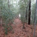 순천생태마을 이미지