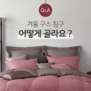 알레르망대전 이미지
