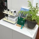 그린향 | ✨ 서면 향수공방 그린핀아 원데이클래스 후기 | 나만의 퍼스널 향을 찾는 특별한 시간