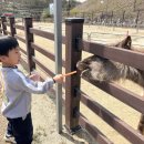 금호초병설유치원 이미지