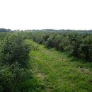 정경농장 이미지