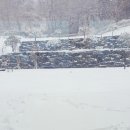 1342 | [대전 신상 대형카페] 계족산 메온 카페 내 돈 내산 후기