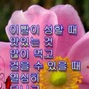 몽실숯불갈비 | 2023 #1 아쉬운 밤을 잠시 떠나보내 나 이제