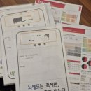이루핏