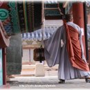 광천-비상-3 이미지