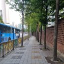 노성남 동물병원 이미지