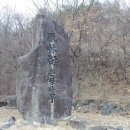 은행나무소공원 - 2517 | 은행나무소공원