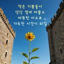 오늘도기쁨18