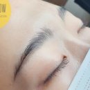 도트 앤 플로우