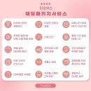 [광주 결혼 준비] 웨딩 사진 방명록, 웨딩포토부스 티오박스 예약 후기